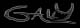 logo gally